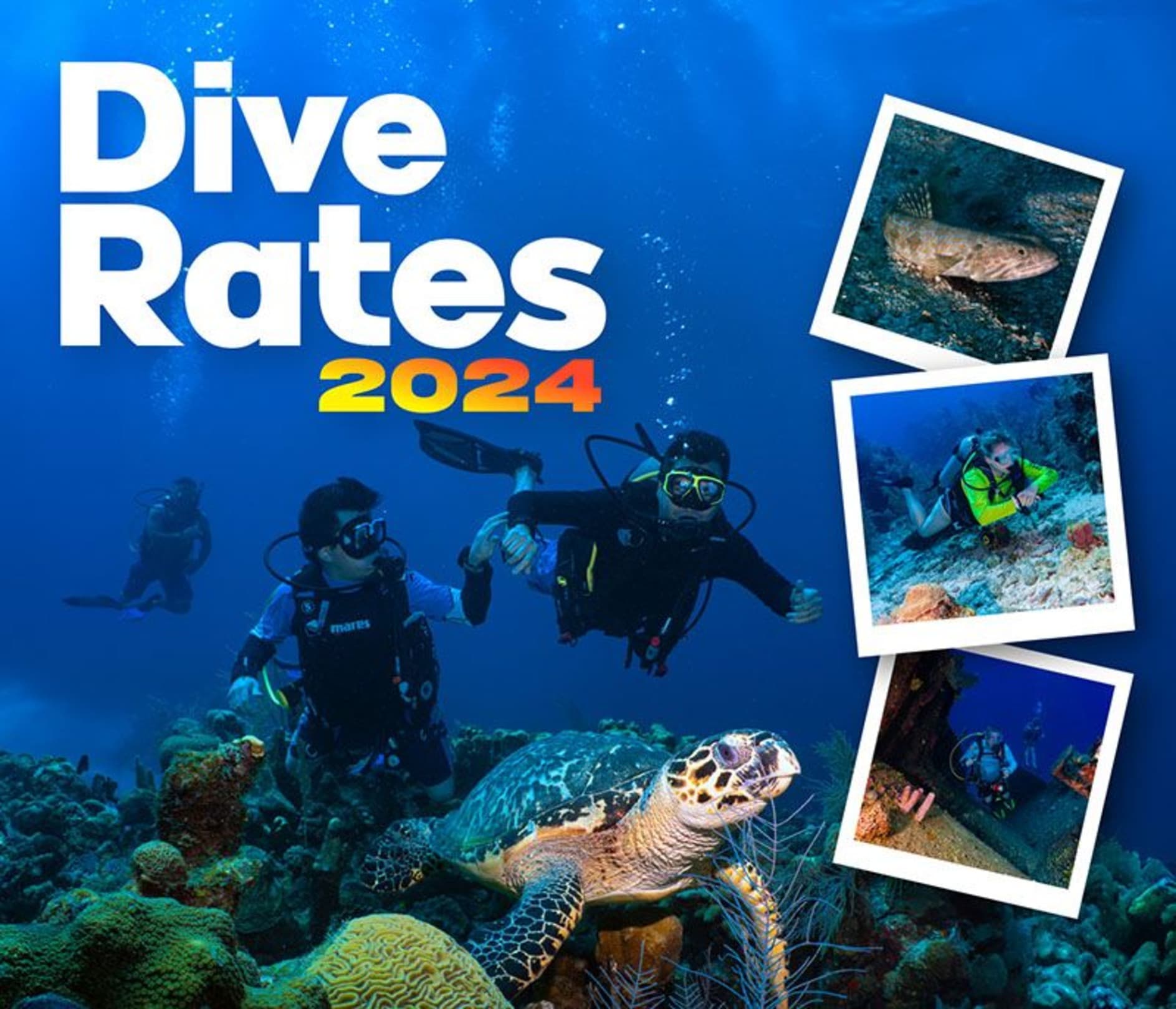  Dive Rates - 2024